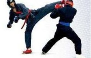 REPRISE DES COURS SAISON 2012/2013